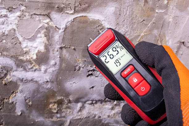 Best Mold Testing  in Tigard, OR