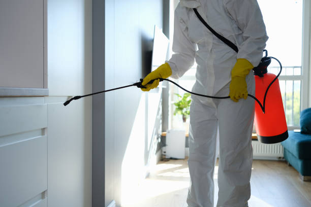 Best Professional Mold Removal  in Tigard, OR