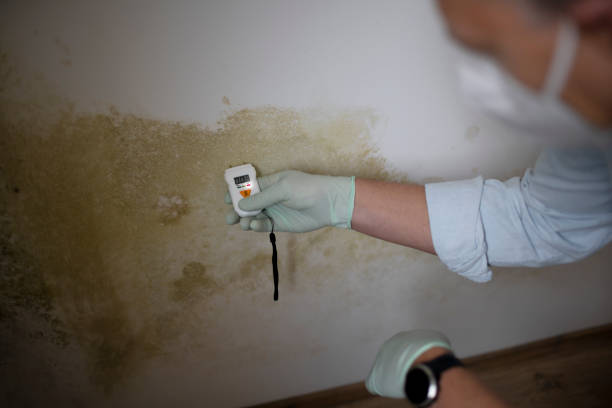 Best Commercial Mold Removal  in Tigard, OR