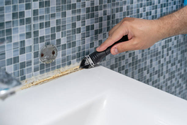 Best Mold Damage Repair  in Tigard, OR