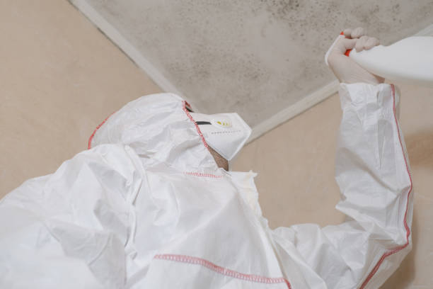 Crawl Space Mold Removal in Tigard, OR