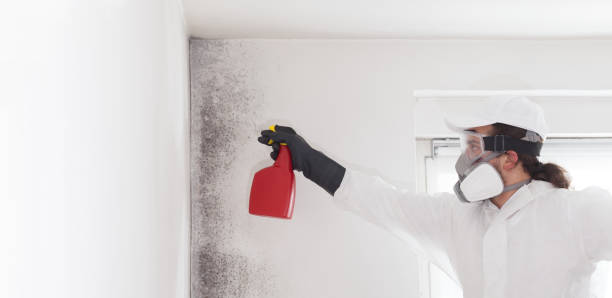 Best Residential Mold Removal  in Tigard, OR
